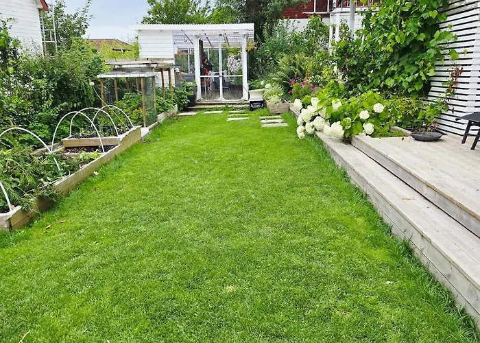 Modern With Garden And View Molde